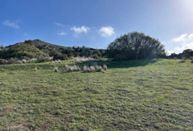 Telde 2041&nbsp;m² 
