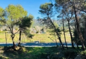 Sòl urbà en venda a la España, Alzira, ref.: TR384312 foto