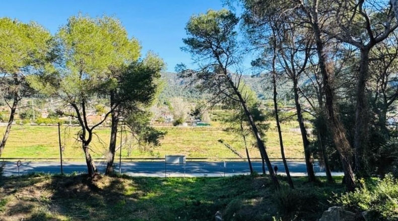 València - Alcira - 1197m2