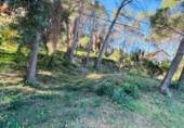 Sòl urbà en venda a la España, Alzira, ref.: TR384312 foto