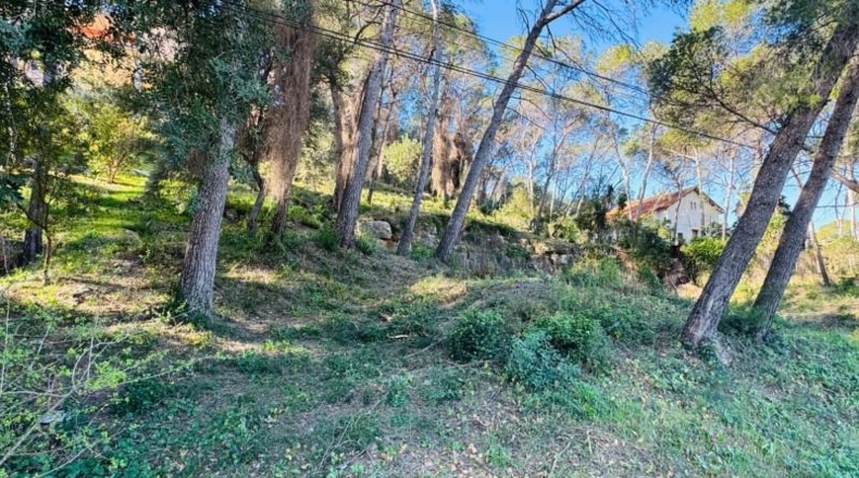 València - Alcira - 1197m2