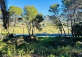Sòl urbà en venda a la España, Alzira, ref.: TR384312 foto