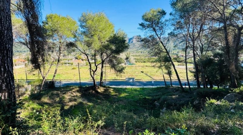 València - Alcira - 1197m2