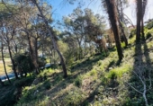 Sòl urbà en venda a la España, Alzira, ref.: TR384312 foto