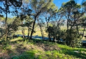 Sòl urbà en venda a la España, Alzira, ref.: TR384312 foto
