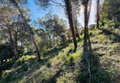 Sòl urbà en venda a la España, Alzira, ref.: TR384312 foto