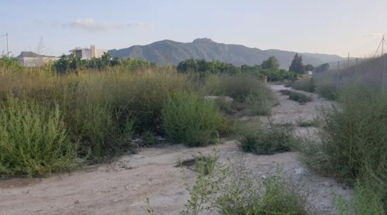 Мурсия - Murcia - 2124m2