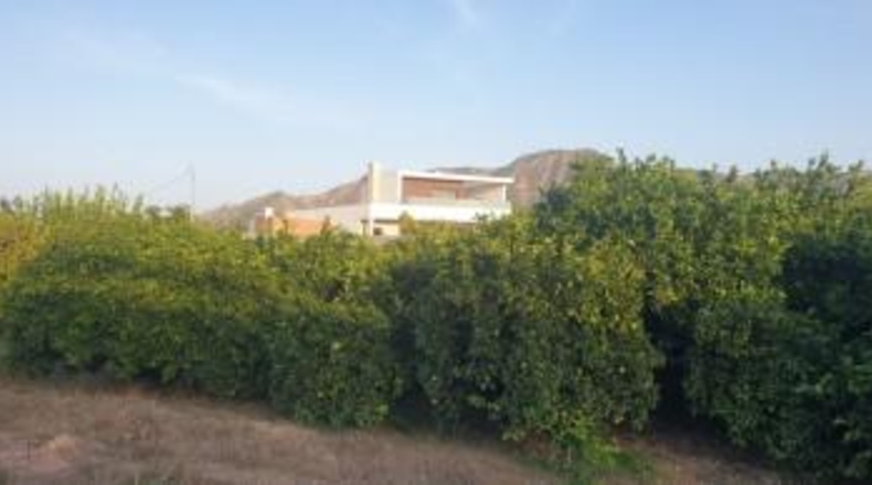 Мурсия - Murcia - 2124m2