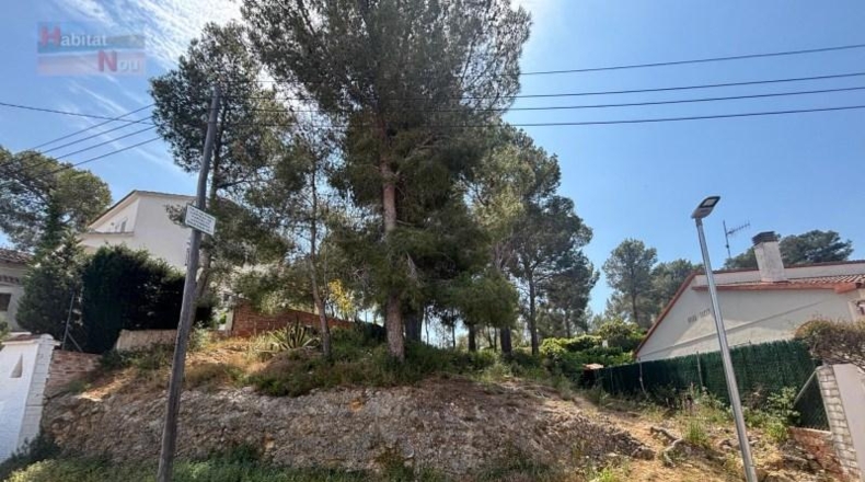 Tarragona - Albinyana - 459m2