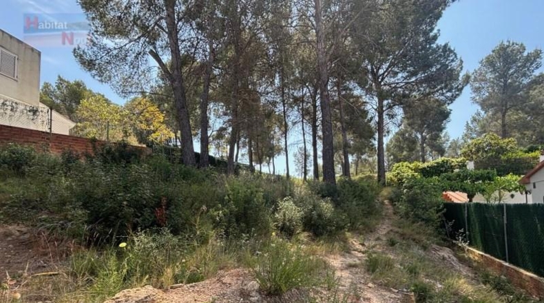 Tarragona - Albinyana - 459m2