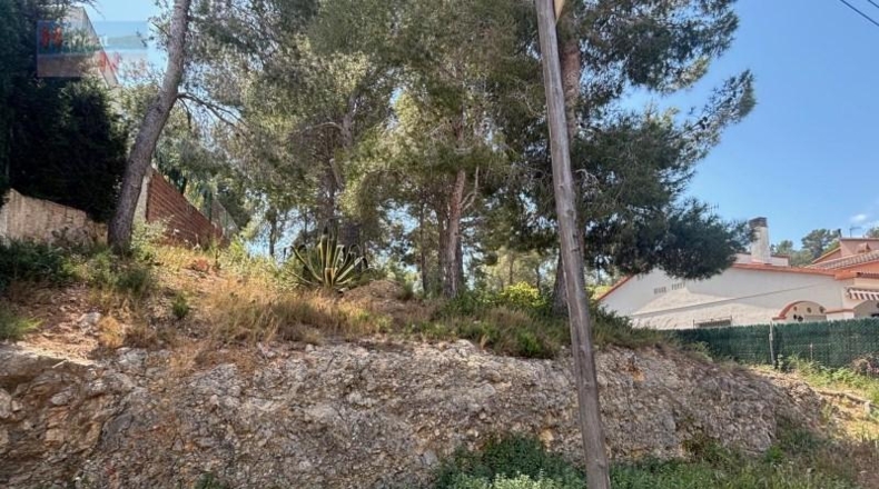 Tarragona - Albinyana - 459m2