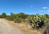 Sòl urbà en venda a la España, Peníscola, ref.: TR118433 foto