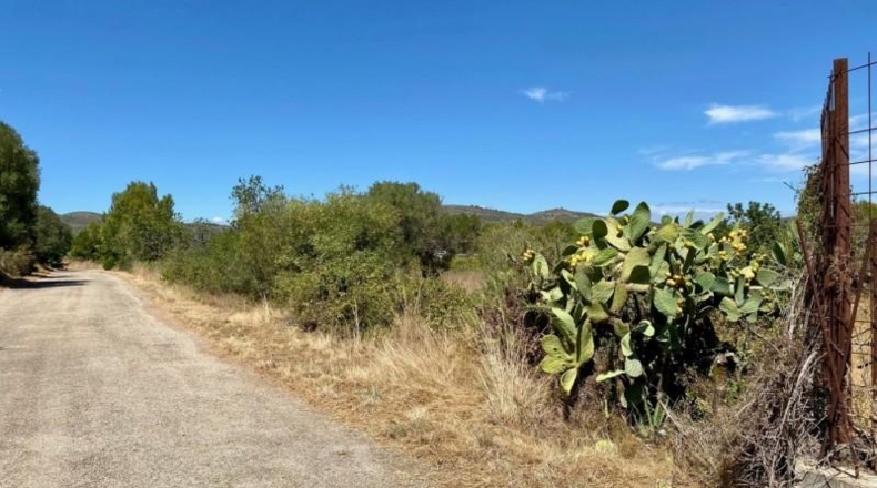 Castellón - Peníscola - 2404m2