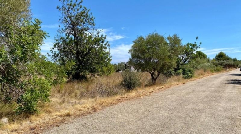 Castellón - Peníscola - 2404m2