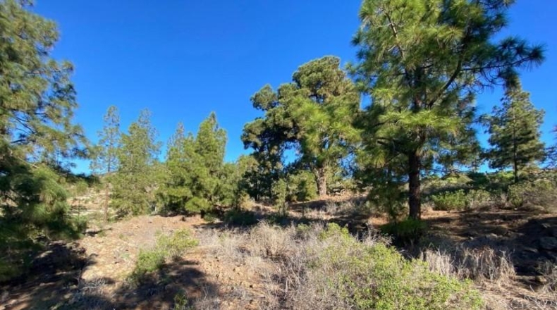 Santa Creu de Tenerife - Granadilla de Abona - 2930m2