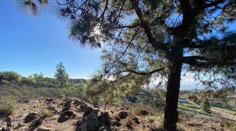 Santa Creu de Tenerife - Granadilla de Abona - 2930m2