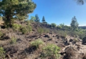 Terreno no urbanizable en venta en la España, Granadilla de Abona, ref: TR407355 foto