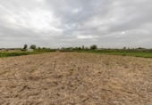 Non-developable land for sale on España, Santa Fe, ref: TR407374 photo
