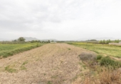 Non-developable land for sale on España, Santa Fe, ref: TR407374 photo