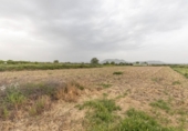 Non-developable land for sale on España, Santa Fe, ref: TR407374 photo