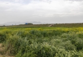 Non-developable land for sale on España, Santa Fe, ref: TR407374 photo