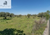 Non-developable land for sale on España, Villa de Otura, ref: TR407383 photo