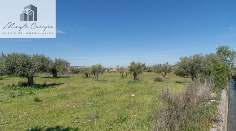 Granada - Villa de Otura - 6056m2