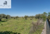 Non-developable land for sale on España, Villa de Otura, ref: TR407383 photo