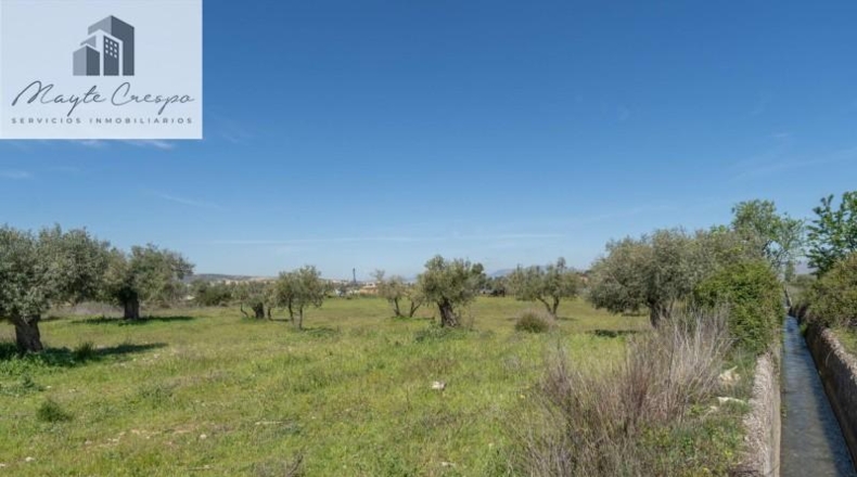 Granada - Villa de Otura - 6056m2
