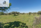 Non-developable land for sale on España, Villa de Otura, ref: TR407383 photo