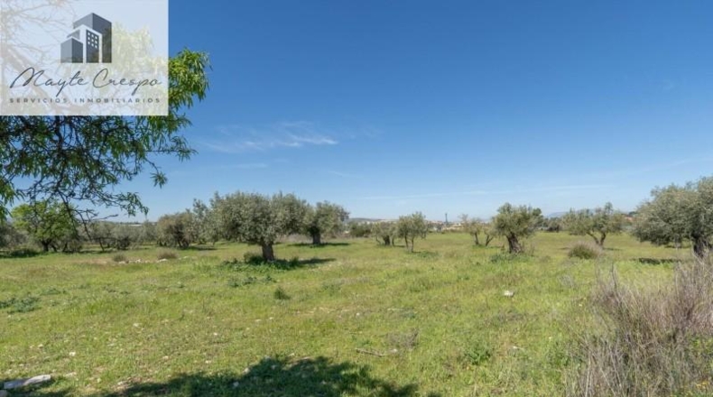 Granada - Villa de Otura - 6056m2