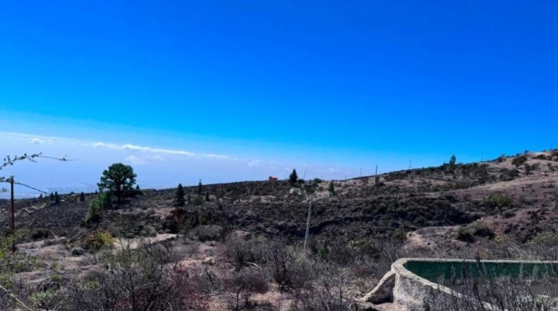 Santa Creu de Tenerife - Fasnia - 6054m2