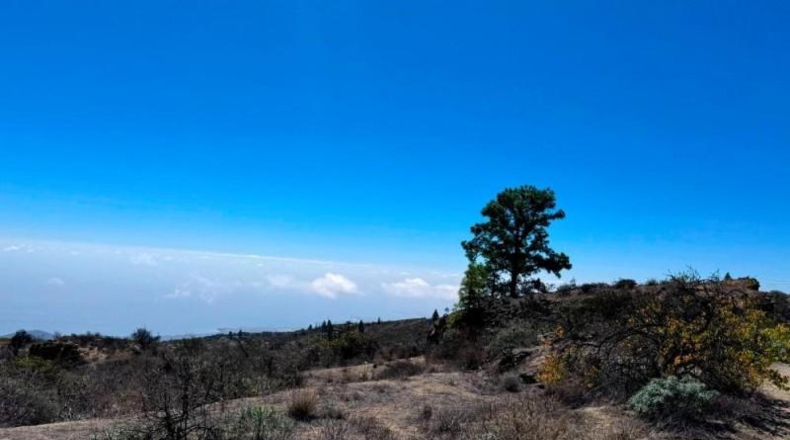 Santa Creu de Tenerife - Fasnia - 6054m2