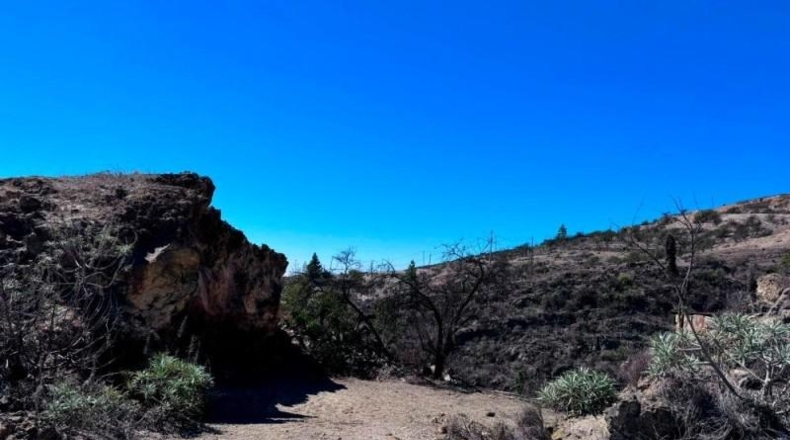 Santa Creu de Tenerife - Fasnia - 6054m2