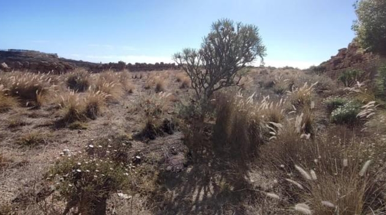 Santa Creu de Tenerife - Granadilla de Abona - 7910m2