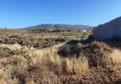 Non-developable land for sale on España, Granadilla de Abona, ref: TR407390 photo