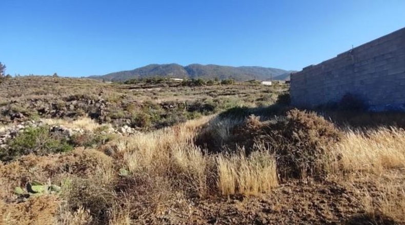 Santa Creu de Tenerife - Granadilla de Abona - 6327m2