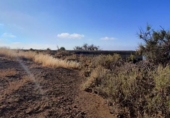Non-developable land for sale on España, Granadilla de Abona, ref: TR407390 photo