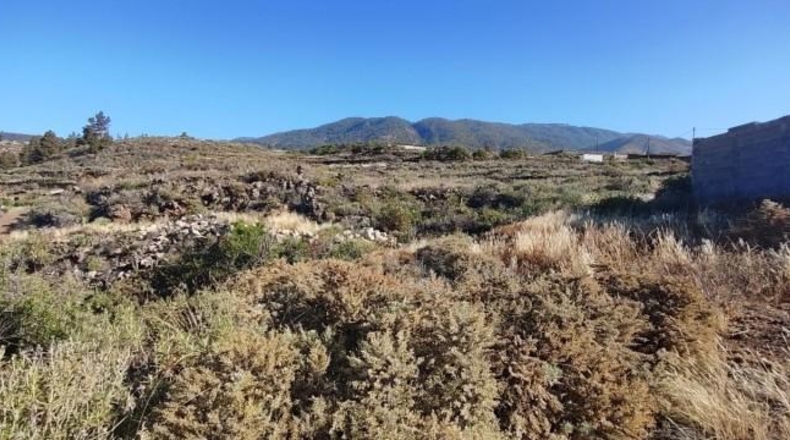 Santa Creu de Tenerife - Granadilla de Abona - 6327m2