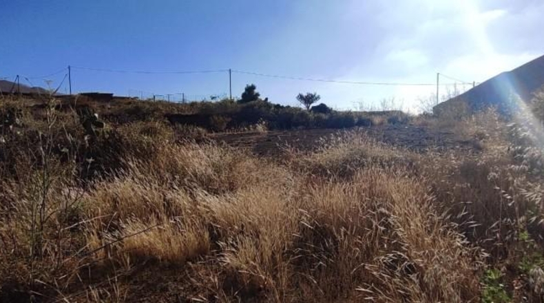 Santa Creu de Tenerife - Granadilla de Abona - 6327m2