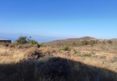 Non-developable land for sale on España, Granadilla de Abona, ref: TR407390 photo