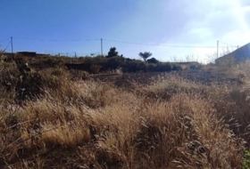 Granadilla de Abona 6327&nbsp;м²