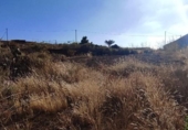 Non-developable land for sale on España, Granadilla de Abona, ref: TR407390 photo