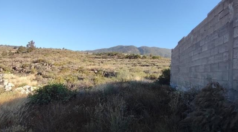 Santa Creu de Tenerife - Granadilla de Abona - 6327m2