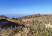 Non-developable land for sale on España, Granadilla de Abona, ref: TR407390 photo