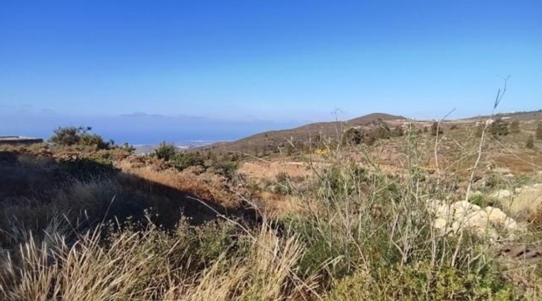 Santa Creu de Tenerife - Granadilla de Abona - 6327m2