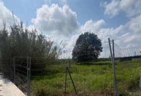 Polinyà de Xúquer 310&nbsp;m² 