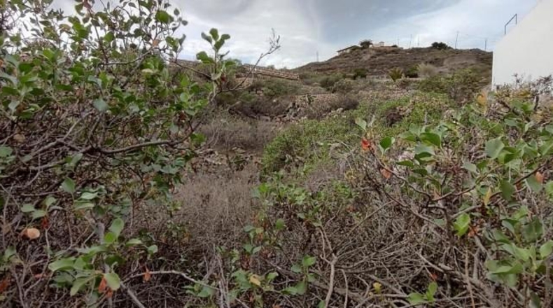 Santa Creu de Tenerife - Fasnia - 353m2