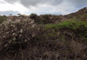 Sòl urbà en venda a la España, Fasnia, ref.: TR407393 foto
