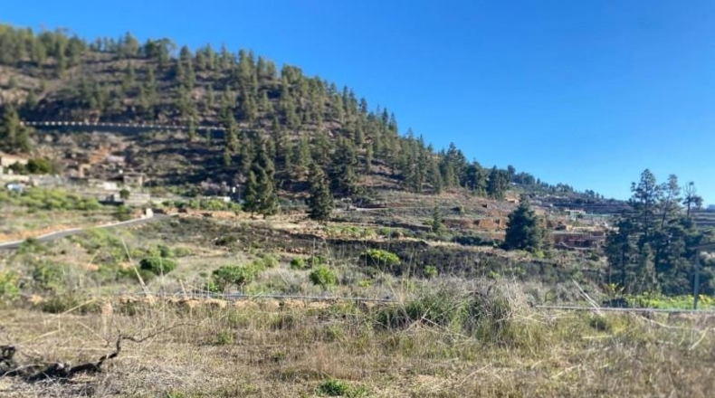 Santa Creu de Tenerife - Granadilla de Abona - 6889m2